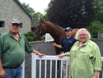 Triple Crown Winner , American Pharaoh, Living On Irish Owned Farm