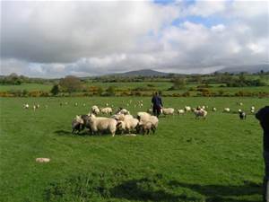 New Web Site, needs a BLOG, so here we go!